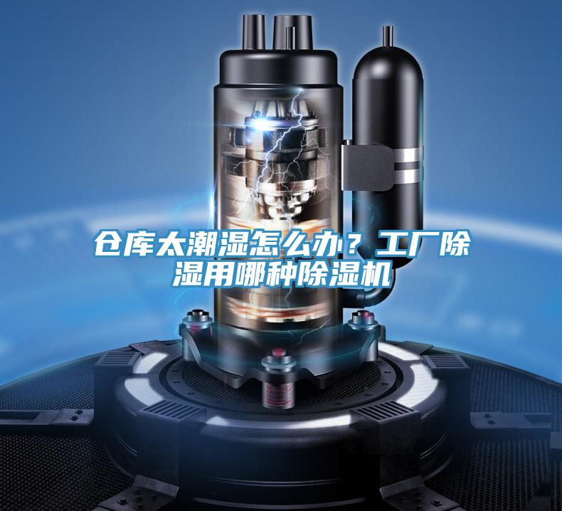 倉庫太潮濕怎麽辦？工廠除濕用哪種草莓污视频在线看