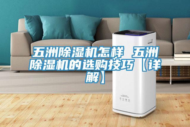 五洲草莓污视频在线看怎樣 五洲草莓污视频在线看的選購技巧【詳解】