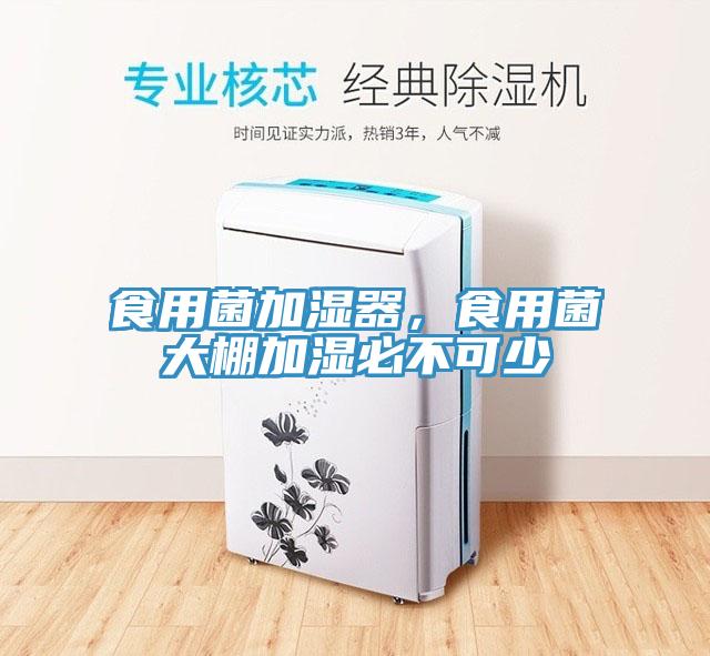 食用菌加濕器，食用菌大棚加濕必不可少