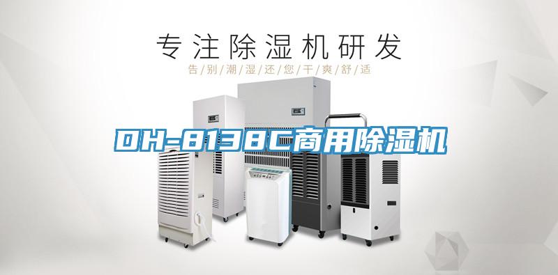 DH-8138C商用草莓污视频在线看