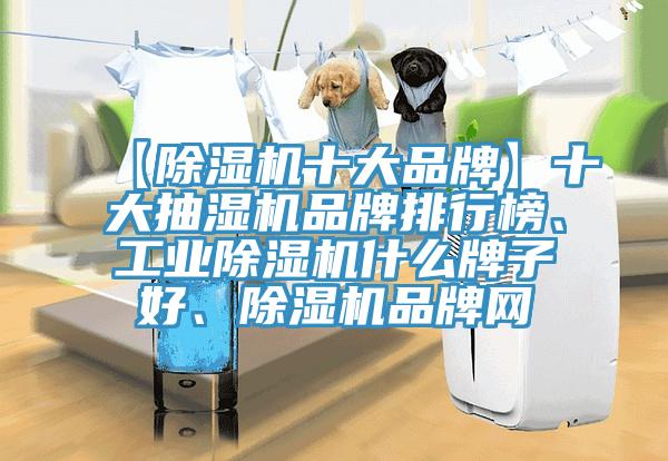 【草莓污视频在线看十大品牌】十大抽濕機品牌排行榜、工業草莓污视频在线看什麽牌子好、草莓污视频在线看品牌網