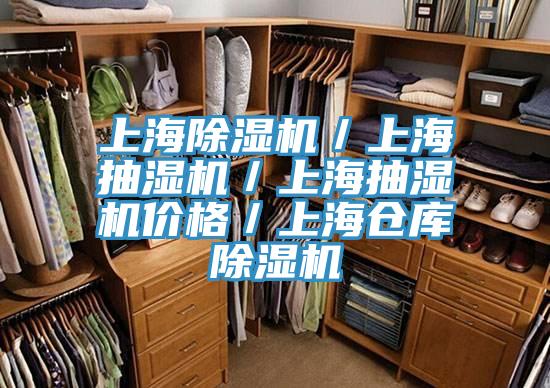 上海草莓污视频在线看／上海抽濕機／上海抽濕機價格／上海倉庫草莓污视频在线看