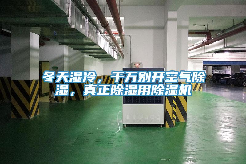 冬天濕冷，千萬別開空氣除濕，真正除濕用草莓污视频在线看