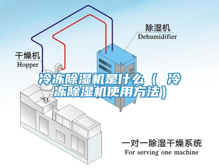 冷凍草莓污视频在线看是什麽（ 冷凍草莓污视频在线看使用方法）