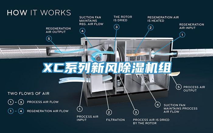 XC係列新風草莓污视频在线看組