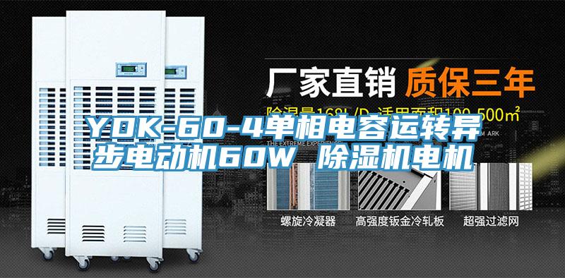 YDK-60-4單相電容運轉異步電動機60W 草莓污视频在线看電機