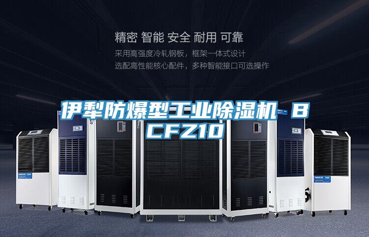 伊犁防爆型工業草莓污视频在线看 BCFZ10