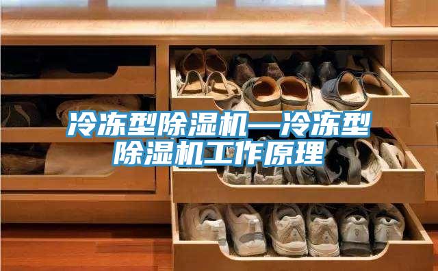 冷凍型草莓污视频在线看—冷凍型草莓污视频在线看工作原理
