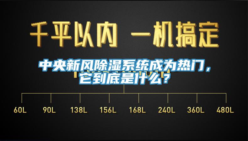 中央新風除濕係統成為熱門，它到底是什麽？