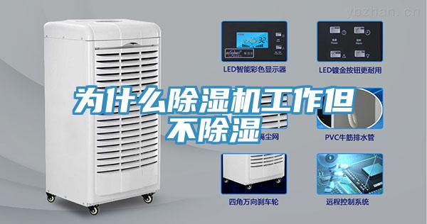 為什麽草莓污视频在线看工作但不除濕