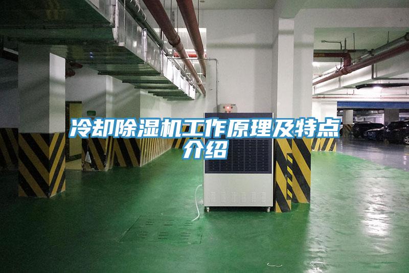 冷卻草莓污视频在线看工作原理及特點介紹