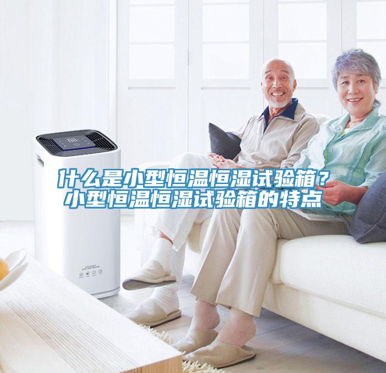 什麽是小型恒溫恒濕試驗箱？小型恒溫恒濕試驗箱的特點