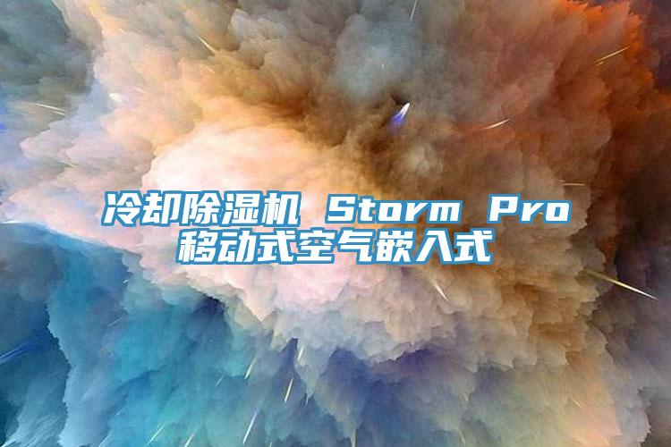 冷卻草莓污视频在线看 Storm Pro移動式空氣嵌入式