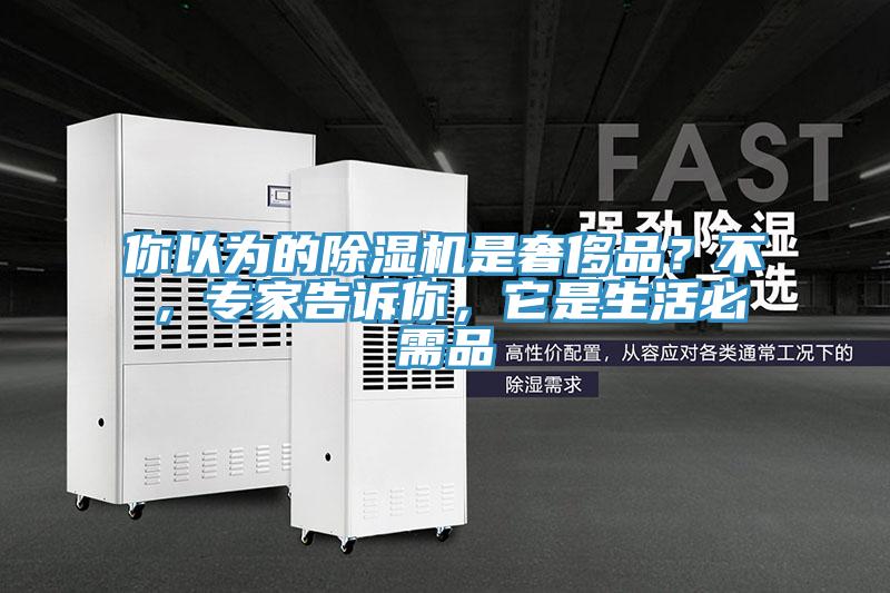 你以為的草莓污视频在线看是奢侈品？不，專家告訴你，它是生活必需品