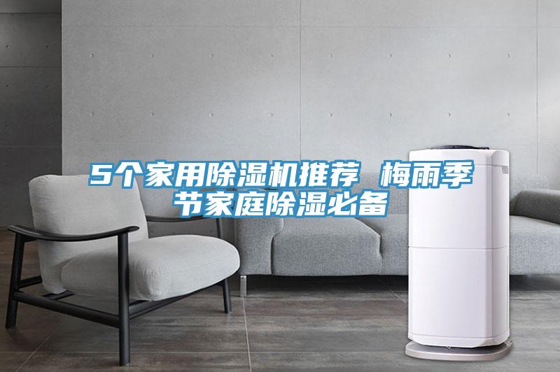 5個家用草莓污视频在线看推薦 梅雨季節家庭除濕必備