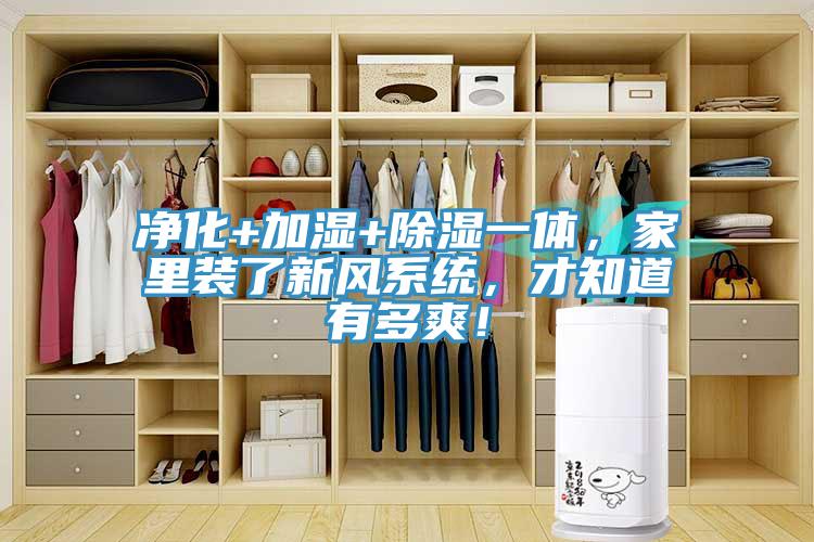 淨化+加濕+除濕一體，家裏裝了新風係統，才知道有多爽！