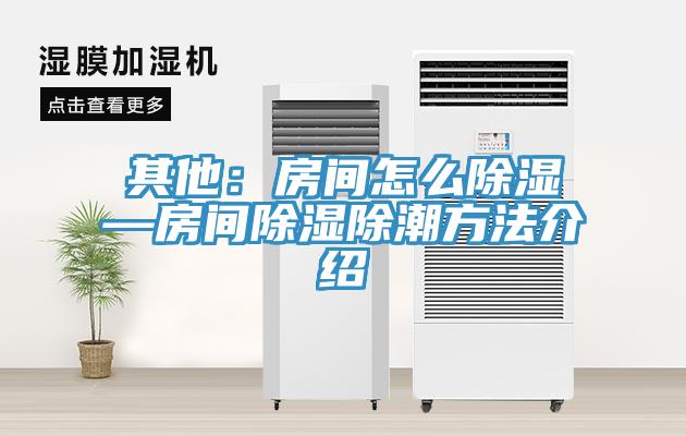 其他：房間怎麽除濕—房間除濕除潮方法介紹
