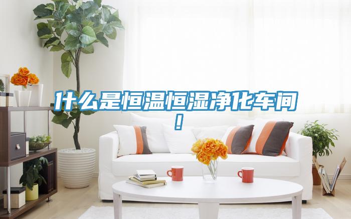 什麽是恒溫恒濕淨化車間！