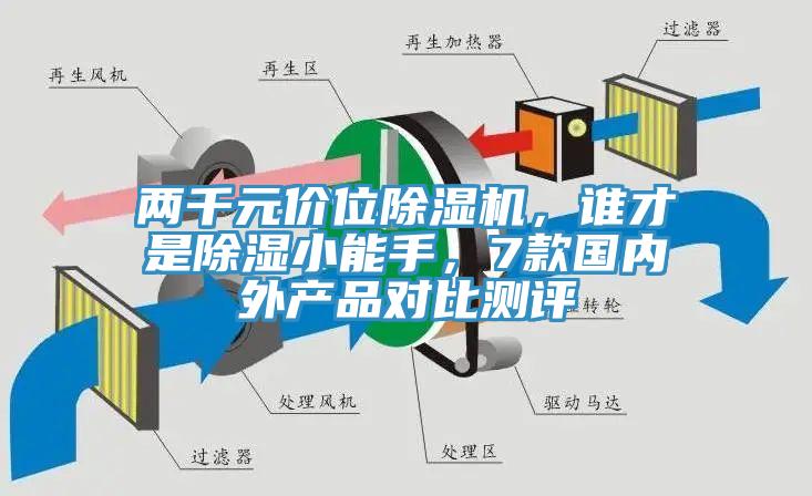 兩千元價位草莓污视频在线看，誰才是除濕小能手，7款國內外產品對比測評