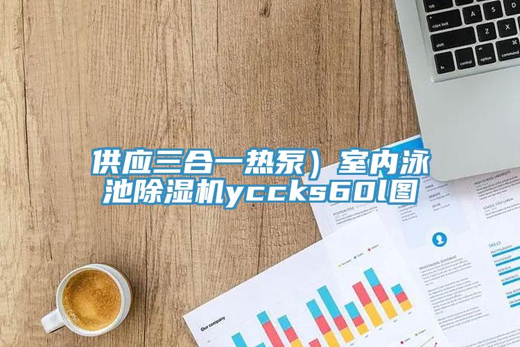 供應三合一熱泵）室內泳池草莓污视频在线看yccks60l圖