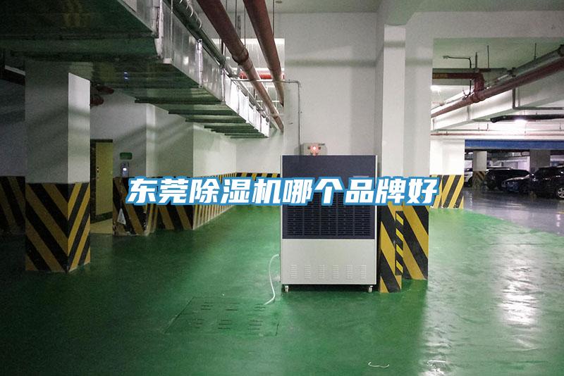 東莞草莓污视频在线看哪個品牌好