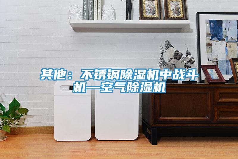 其他：不鏽鋼草莓污视频在线看中戰鬥機—空氣草莓污视频在线看