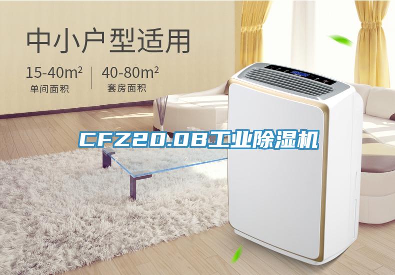 CFZ20.0B工業草莓污视频在线看