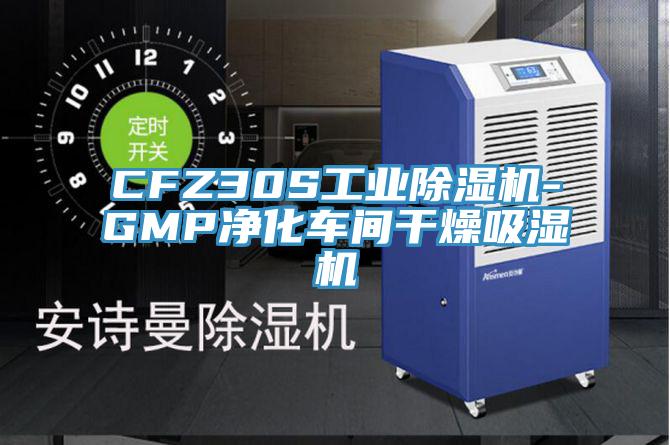 CFZ30S工業草莓污视频在线看-GMP淨化車間幹燥吸濕機