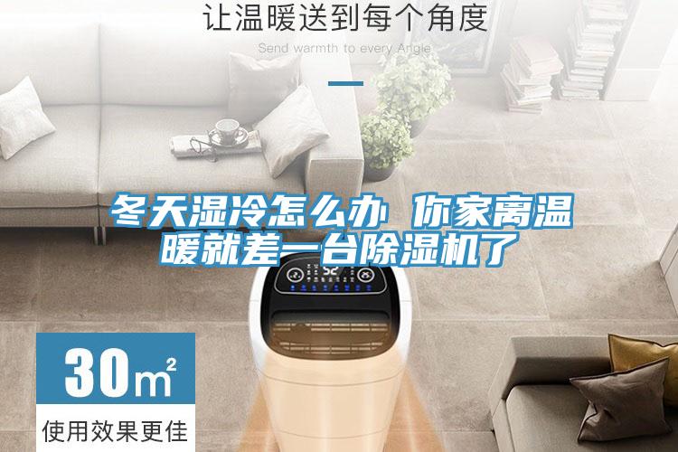 冬天濕冷怎麽辦 你家離溫暖就差一台草莓污视频在线看了