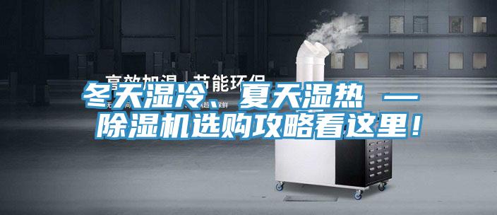 冬天濕冷、夏天濕熱 — 草莓污视频在线看選購攻略看這裏！
