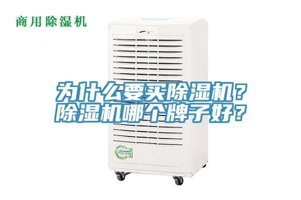 為什麽要買草莓污视频在线看？草莓污视频在线看哪個牌子好？