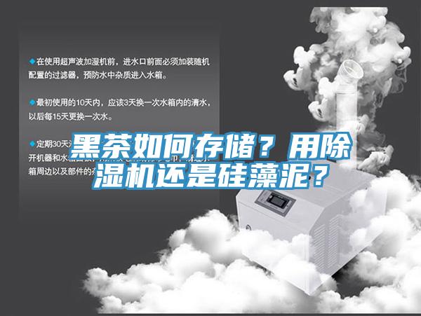 黑茶如何存儲？用草莓污视频在线看還是矽藻泥？
