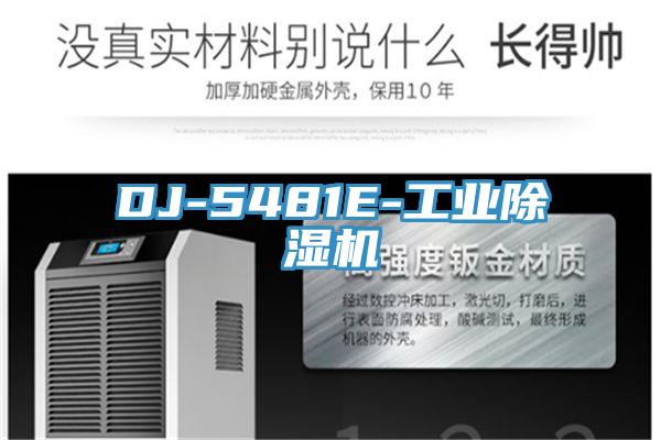 DJ-5481E-工業草莓污视频在线看