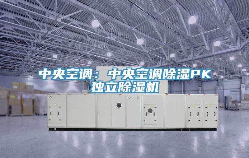 中央空調：中央空調除濕PK獨立草莓污视频在线看