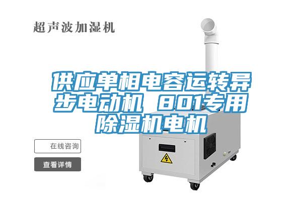 供應單相電容運轉異步電動機 801專用草莓污视频在线看電機