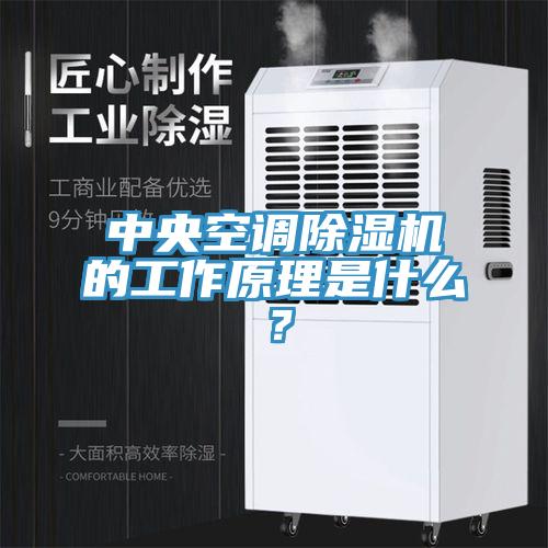 中央空調草莓污视频在线看的工作原理是什麽？