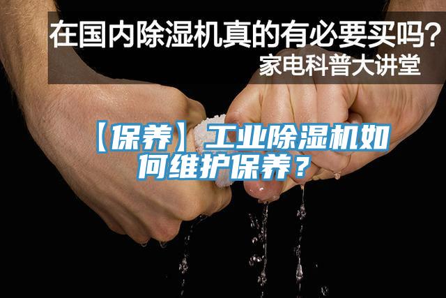 【保養】工業草莓污视频在线看如何維護保養？