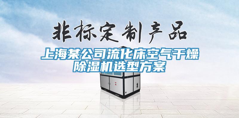 上海某公司流化床空氣幹燥草莓污视频在线看選型方案