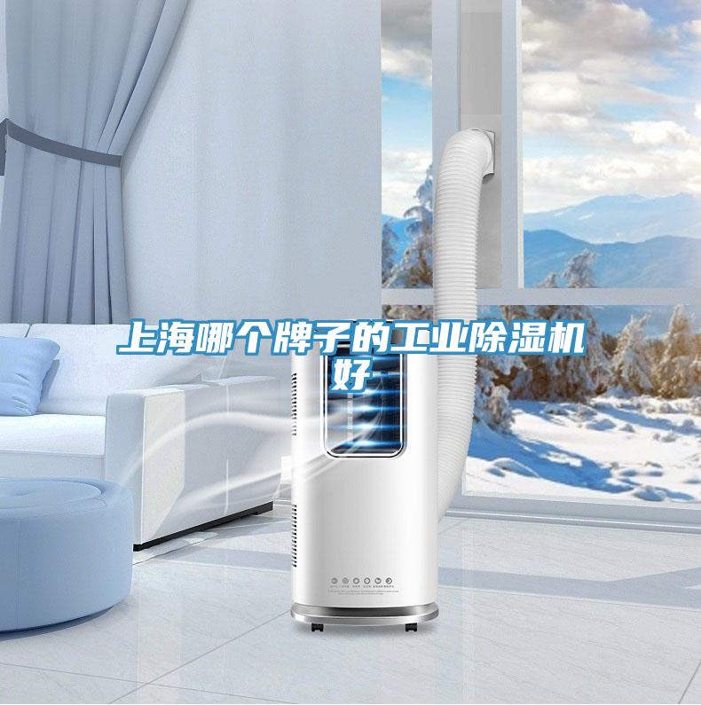 上海哪個牌子的工業草莓污视频在线看好