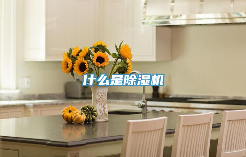 什麽是草莓污视频在线看