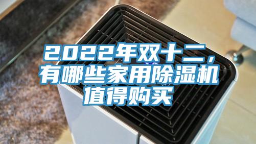 2022年雙十二，有哪些家用草莓污视频在线看值得購買