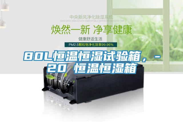 80L恒溫恒濕試驗箱，-20℃恒溫恒濕箱