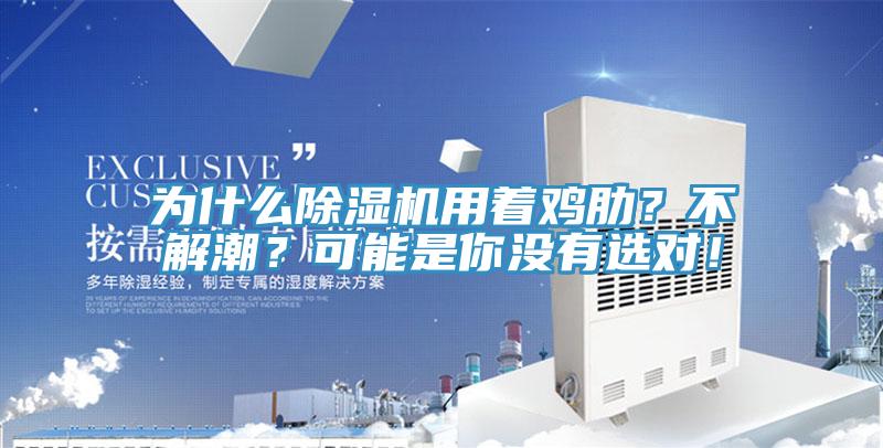 為什麽草莓污视频在线看用著雞肋？不解潮？可能是你沒有選對！