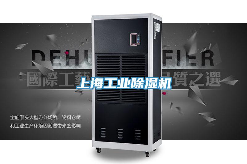 上海工業草莓污视频在线看