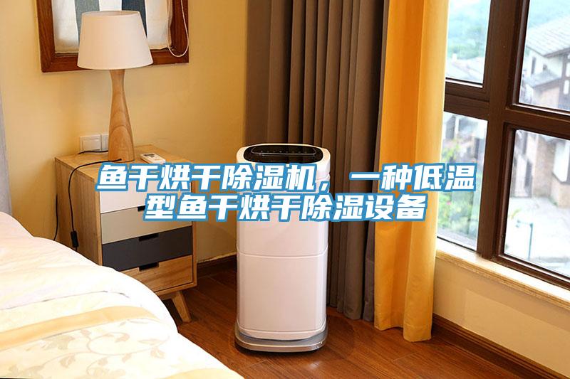 魚幹烘幹草莓污视频在线看，一種低溫型魚幹烘幹除濕設備