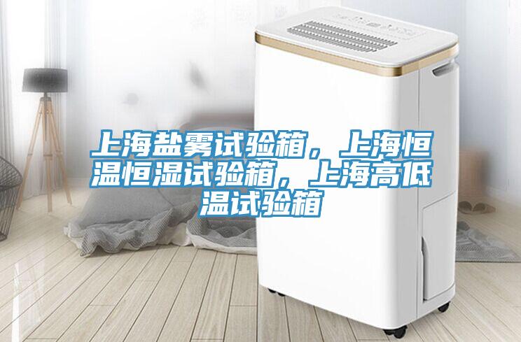 上海鹽霧試驗箱，上海恒溫恒濕試驗箱，上海高低溫試驗箱