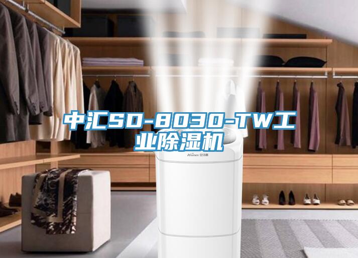 中匯SD-8030-TW工業草莓污视频在线看