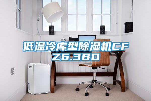 低溫冷庫型草莓污视频在线看CFZ6.3BD