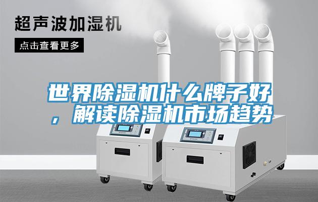 世界草莓污视频在线看什麽牌子好，解讀草莓污视频在线看市場趨勢