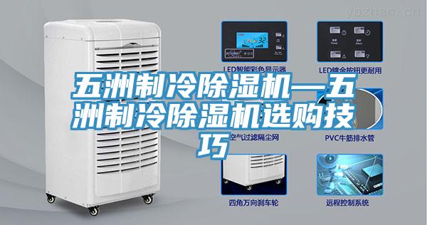 五洲製冷草莓污视频在线看—五洲製冷草莓污视频在线看選購技巧
